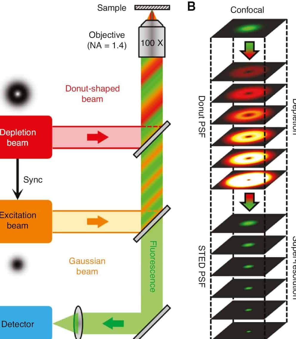 J_nanoph-2019-0475_fig_001 - Nanophotonics